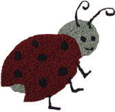 Alina's Ladybug